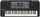 Yamaha PSR-A5000 / Digital Keyboard